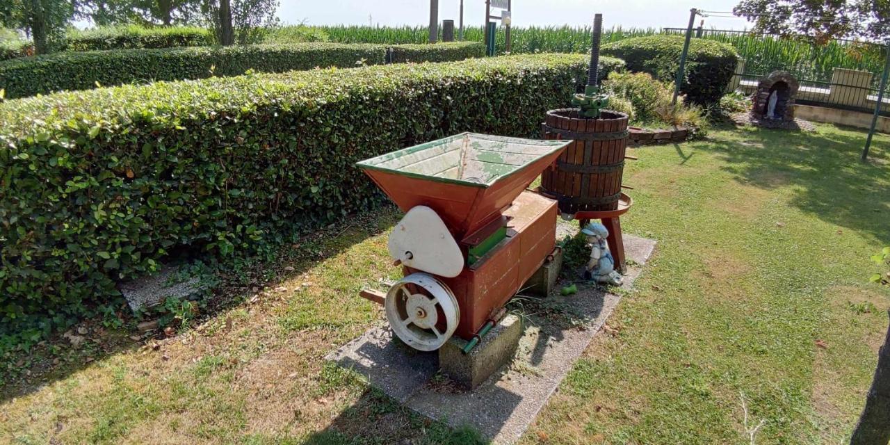 Agriturismo La Fraterna Tolle Экстерьер фото